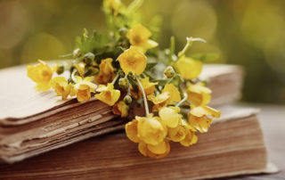 Bibles with flowers