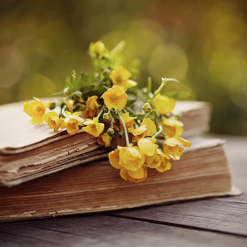 Bibles with flowers